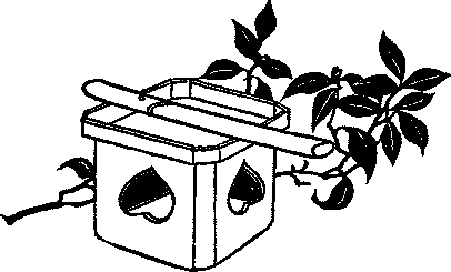 Illustration: Box with leaf limb
