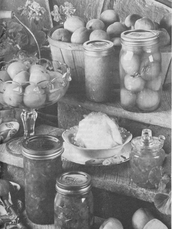 Fresh and preserved foods