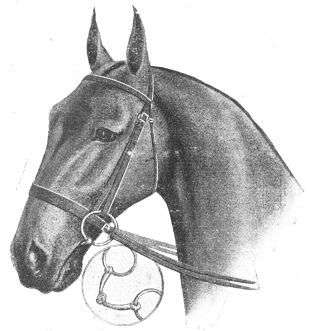 DOUBLE REIN SNAFFLE  BRIDLE, with
Flat Ring Bridoon Bit