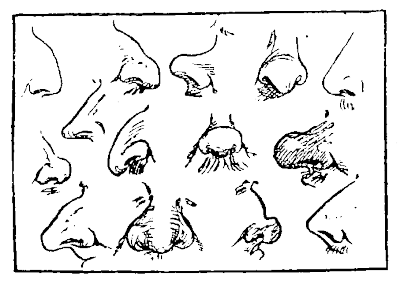 Noses